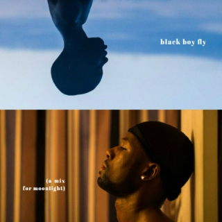 black boy fly