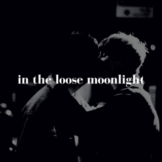 In the Loose Moonlight