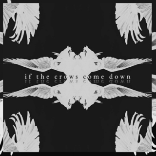 if the crows come down