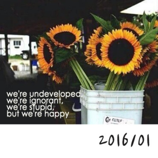 we're undeveloped, we're ignorant, we're stupid, but we're happy.