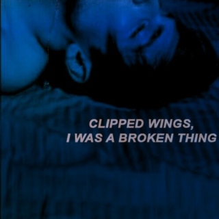 Clipped Wings | Dick Grayson