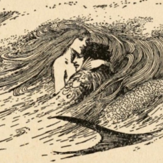 Outing the Mermaid: A Novel of Love, Fear & Misogyny