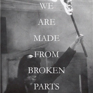 WE ARE MADE FROM BROKEN PARTS