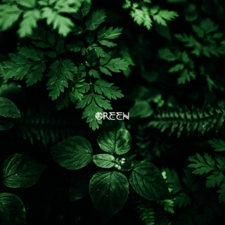 [colors]: green