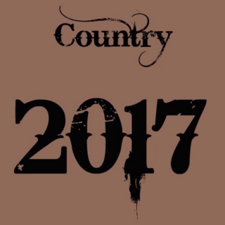 2017 Country - Top 20