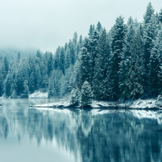 White Winter Serenity, v.8