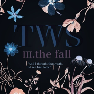 TWS: The Fall