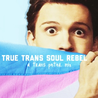 true trans soul rebel: a trans peter mix