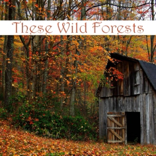 These Wild Forests