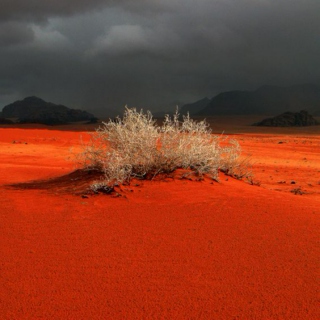 Ancient desert