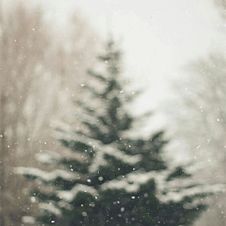 Snowy Christmas, Holy December