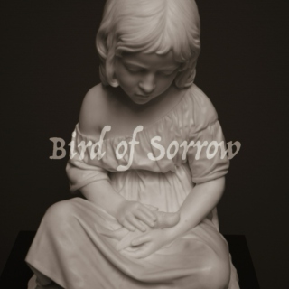 Bird of Sorrow