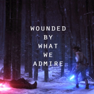 Wounded By What We Admire 