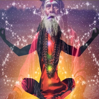 Follow The Zen Master