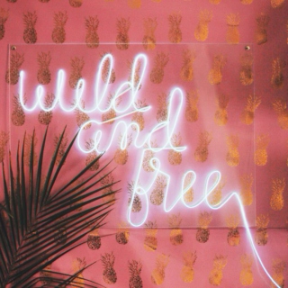 Wild n' Free