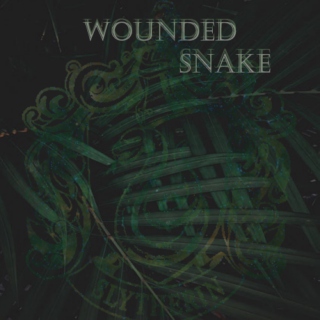 Wounded Snake
