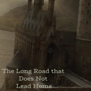 The Long Road that Does Not Lead Home