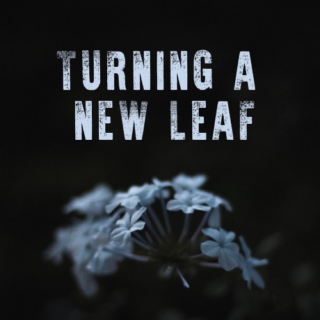 Turning a New Leaf