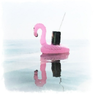 pink flamingo pool floaty