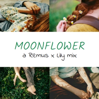 a love like a moonflower