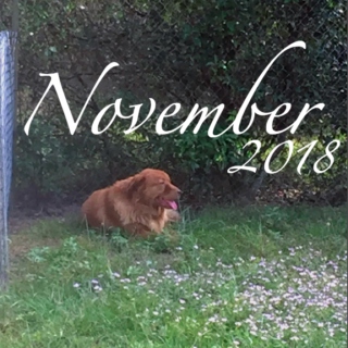 November 2018