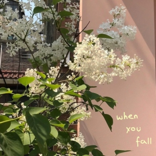 when  you  fall