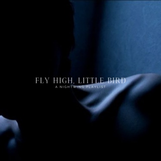 Fly high, little bird || a nightwing playlist