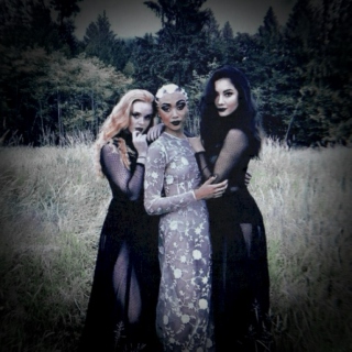 they are the queens of the night