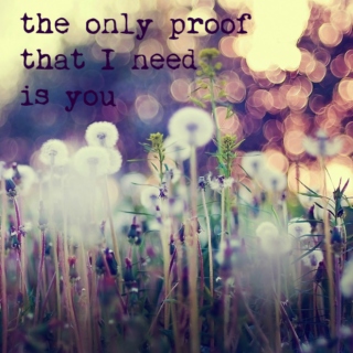 the only proof I need is you