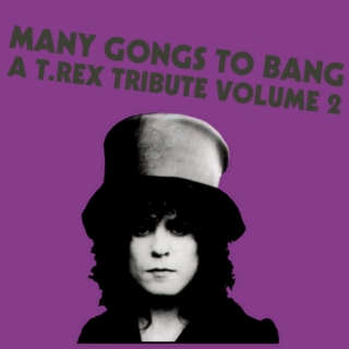 Many Gongs To Bang: A T. Rex Tribute Volume 2