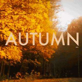 An Hour of Autumn
