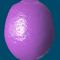 purplelemons