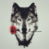 Mona_white_wolf