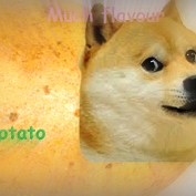 PotatoDoge