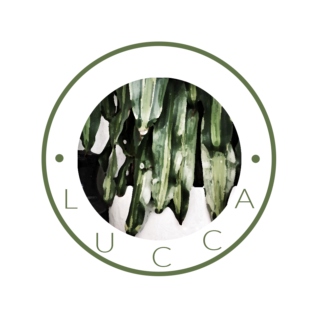 lucca.magazine