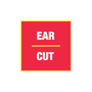 EarCut