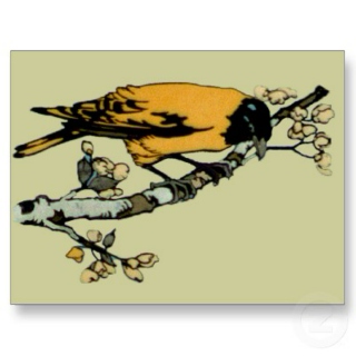 Golden Sparrow