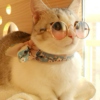 catwpinkglasses