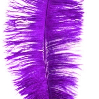 purplenote