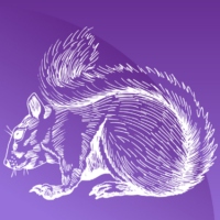 purplesquirrel
