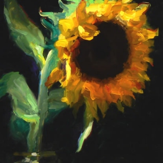 sunflowerchild