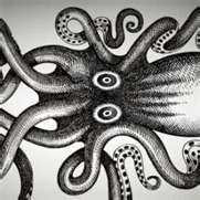cephalopods_are_rad