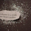 a_dream_is_a_wish