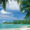 Caribbean-Vacation
