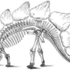 stegannasaurus