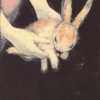 velveteen rabbit