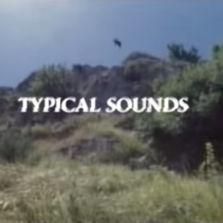 Typical_Sounds