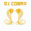DJ Cobra UK