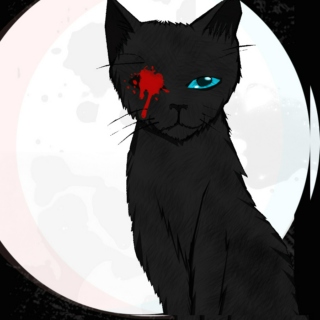 evilblackcat13