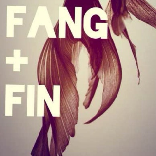 Fang+Fin